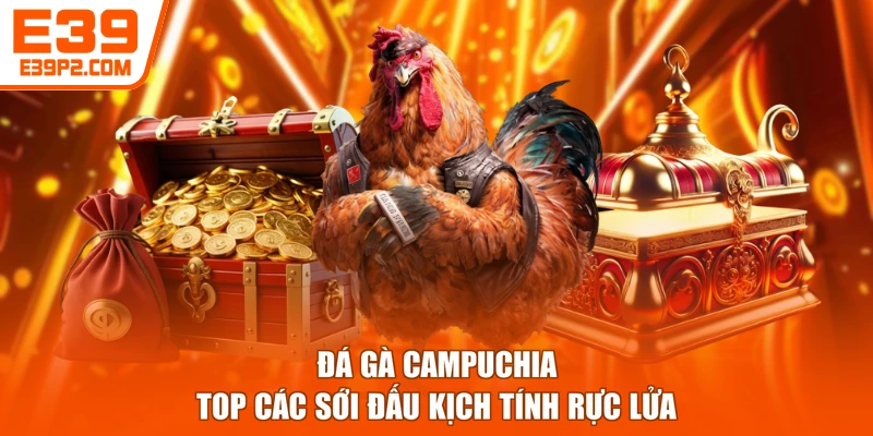 Đá Gà Campuchia - Top Các Sới Đấu Kịch Tính Rực Lửa