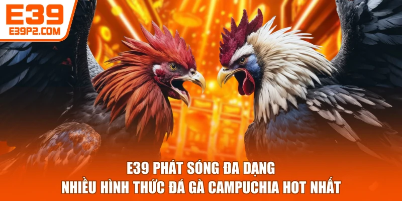 E39 phát sóng đa dạng nhiều hình thức đá gà Campuchia hot nhất