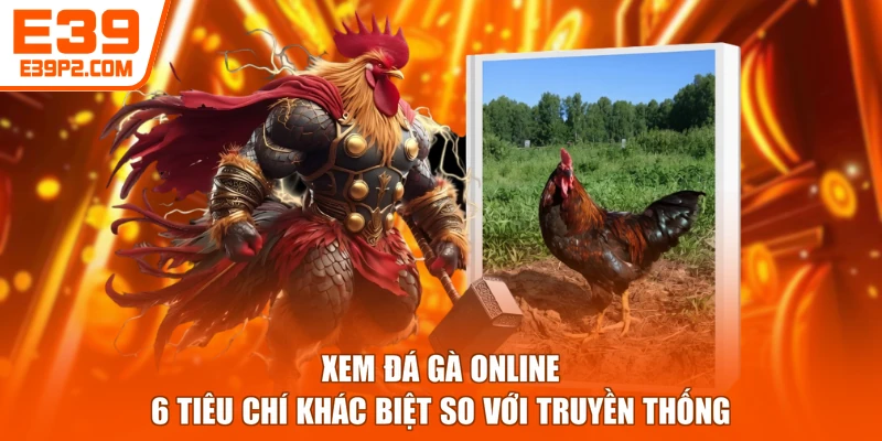 Xem Đá Gà Online - 6 Tiêu Chí Khác Biệt So Với Truyền Thống